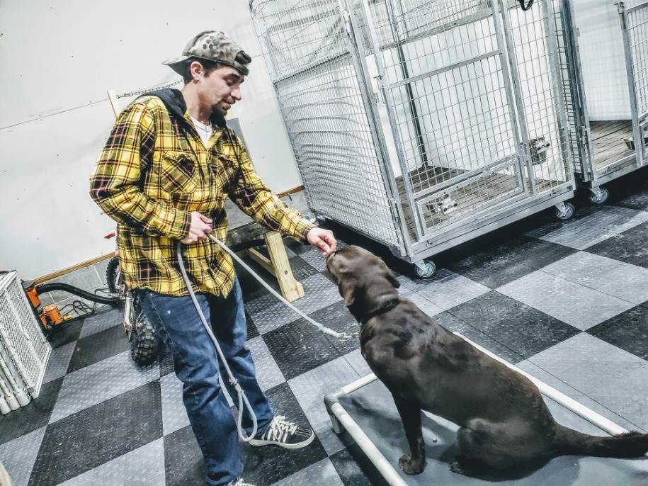 K9JF training session